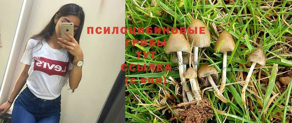 МДМА Кинешма