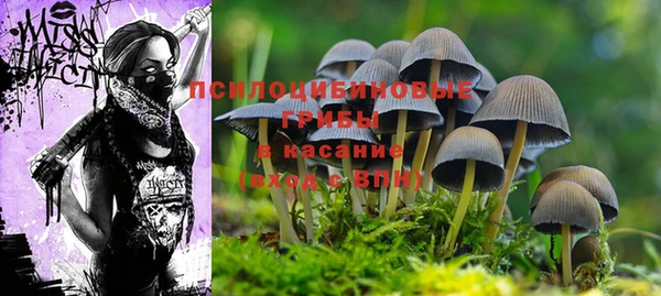 прущие крисы Киреевск
