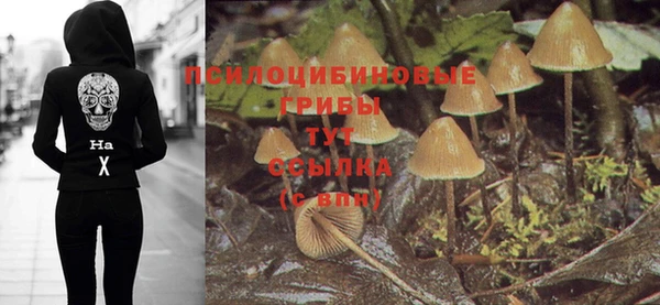 прущие крисы Киреевск