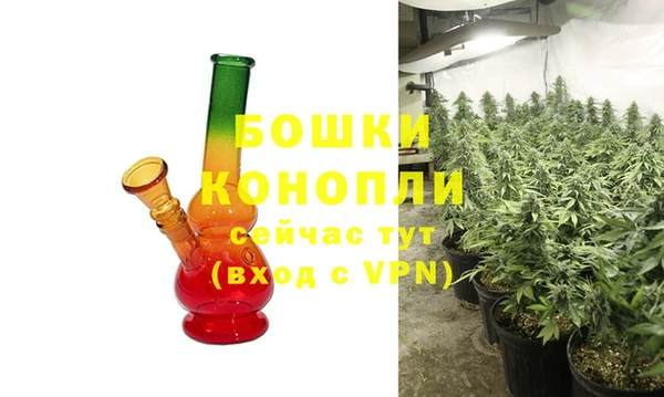 PSILOCYBIN Калининец